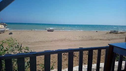 Yorum fotoğrafı 5