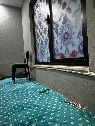 Fotoğraf 19