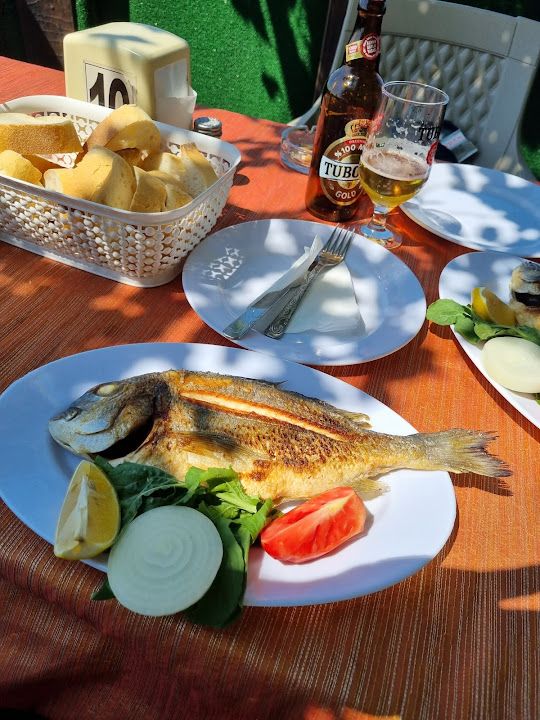 Fotoğraf 11