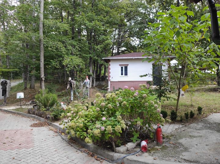 Yorum fotoğrafı 14