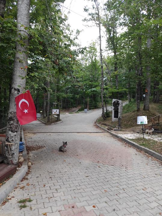 Yorum fotoğrafı 15