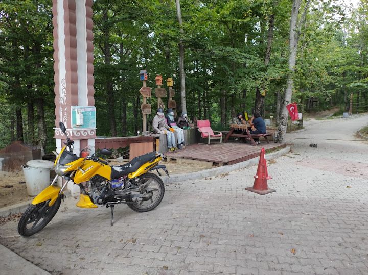 Yorum fotoğrafı 9