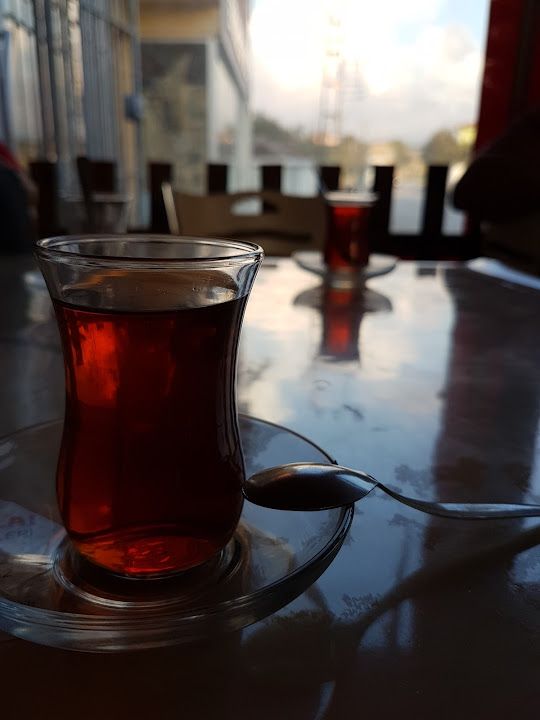 Fotoğraf 15