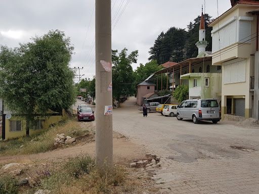 Fotoğraf 14