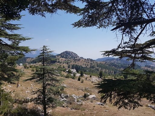 Fotoğraf 15