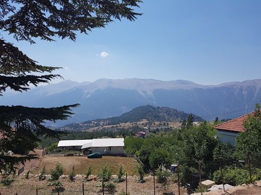 Fotoğraf 16