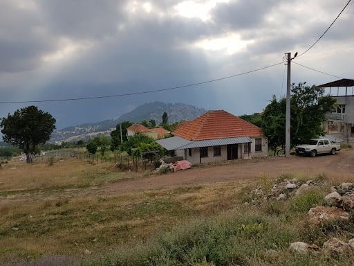 Fotoğraf 17