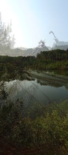 Fotoğraf 26