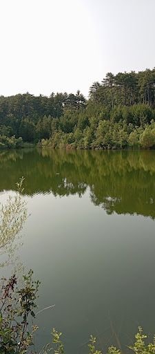Fotoğraf 27