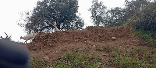 Fotoğraf 12