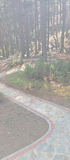 Fotoğraf 29