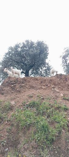 Fotoğraf 13
