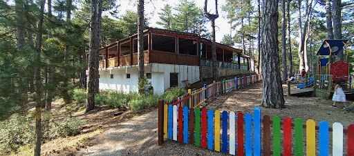 Fotoğraf 31