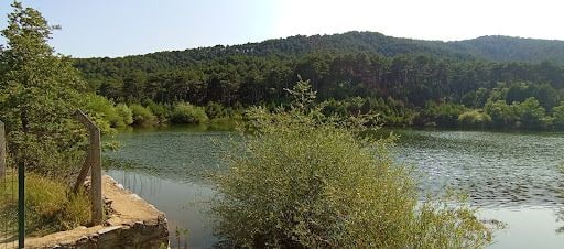 Fotoğraf 33