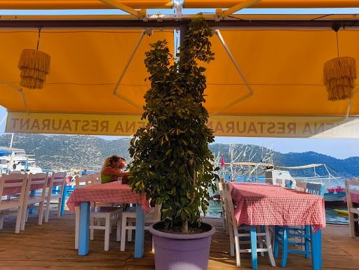 Yorum fotoğrafı 3