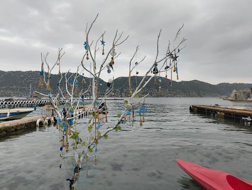 Yorum fotoğrafı 8