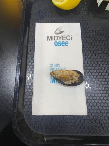Fotoğraf 17