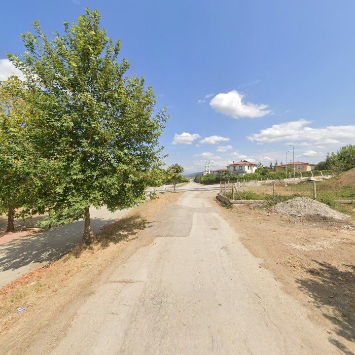 Fotoğraf 3