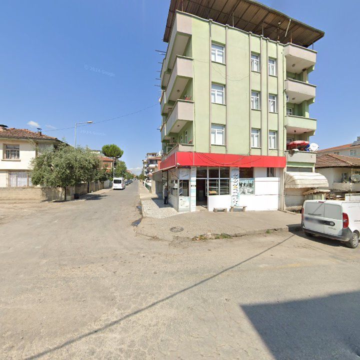 Fotoğraf 3
