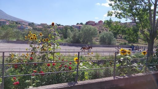 Yorum fotoğrafı 3