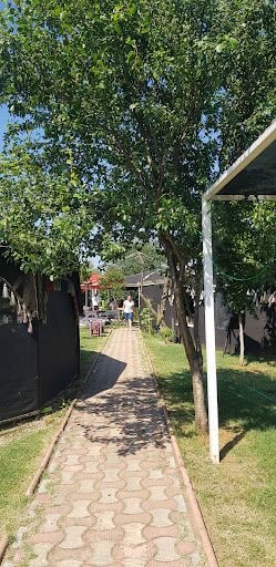 Fotoğraf 18