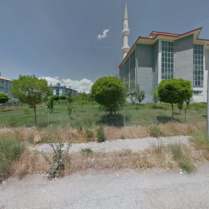 Fotoğraf 6