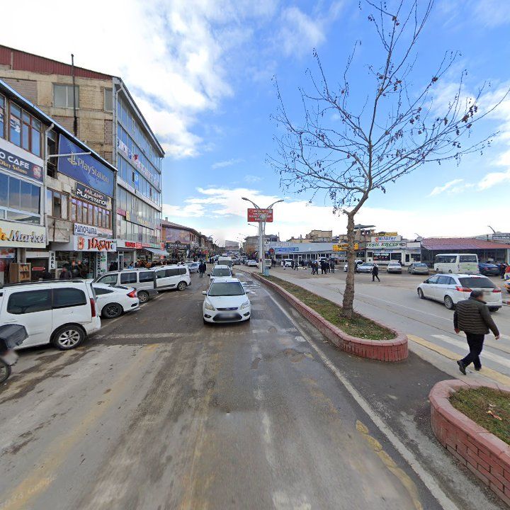 Fotoğraf 7