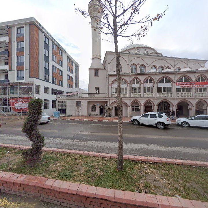Fotoğraf 10