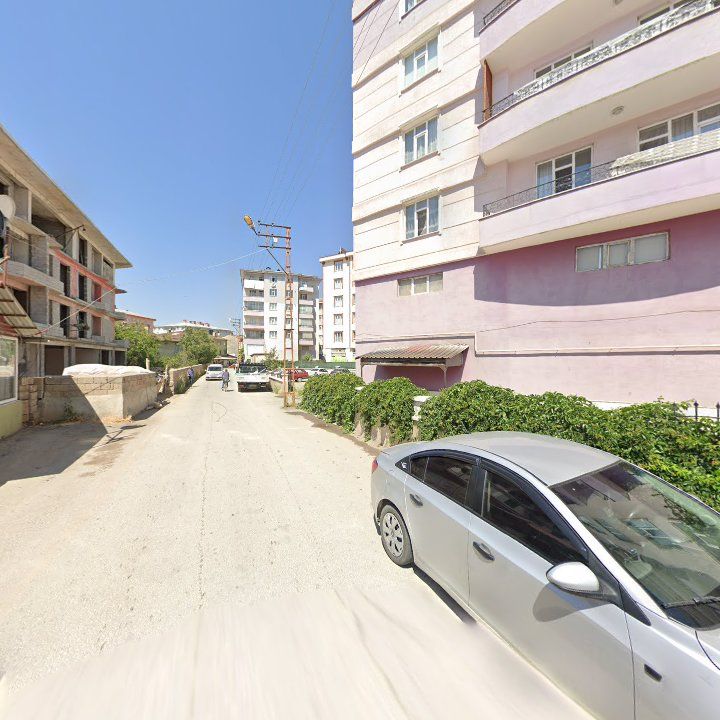 Fotoğraf 8