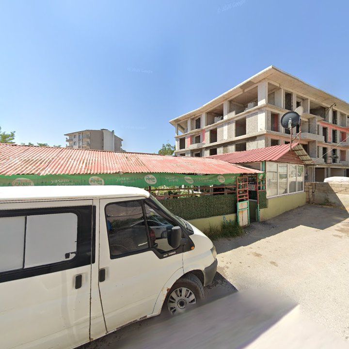 Fotoğraf 7