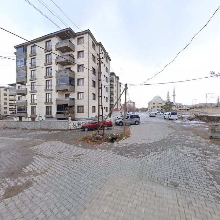 Fotoğraf 8