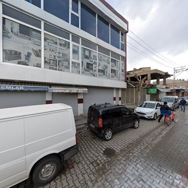 Fotoğraf 2