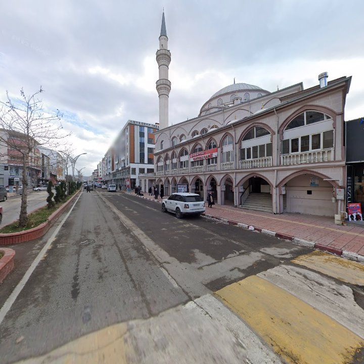 Fotoğraf 9