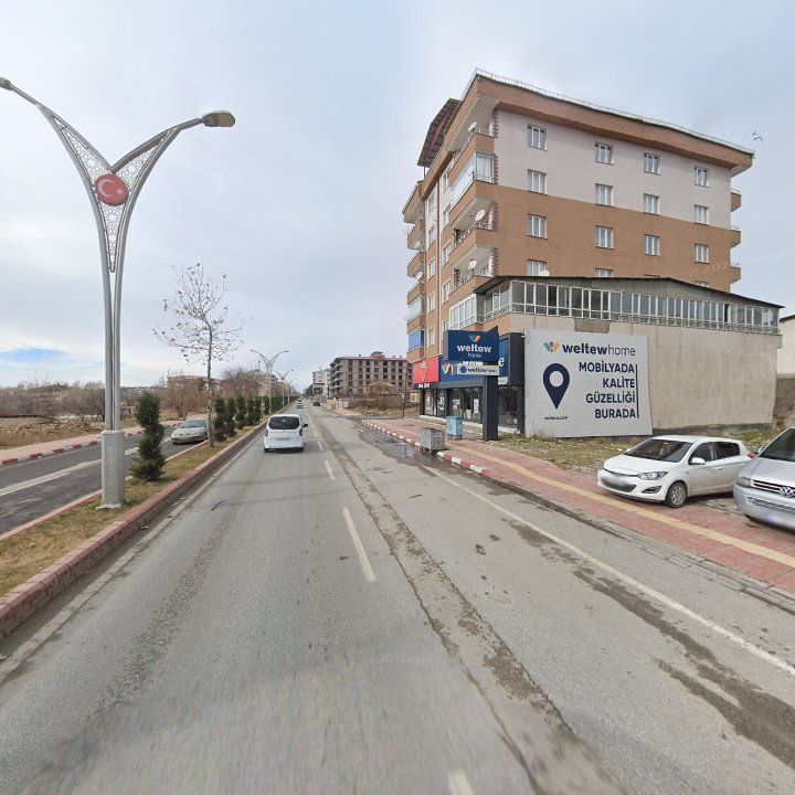 Fotoğraf 12