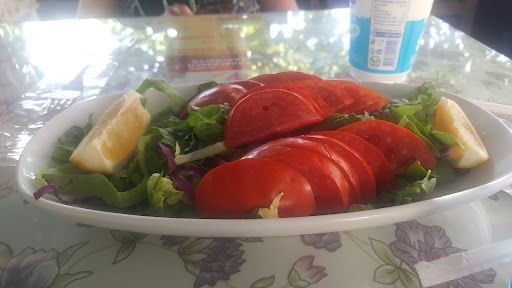 Fotoğraf 16