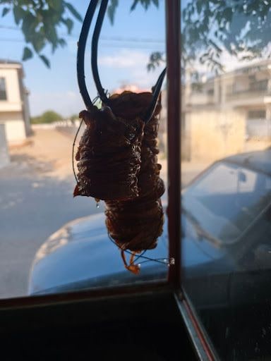 Fotoğraf 20