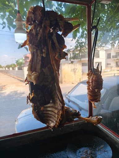 Fotoğraf 22