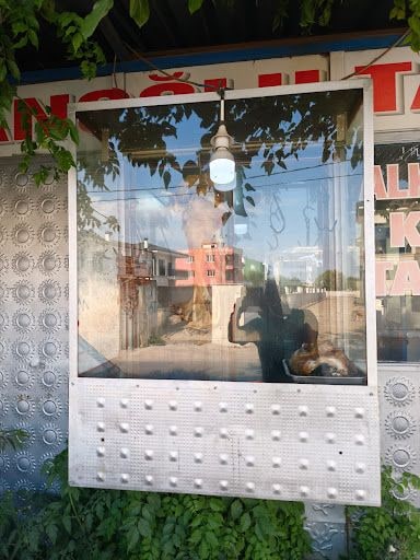 Fotoğraf 23