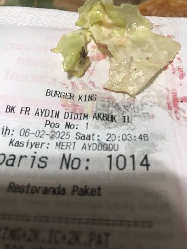 Fotoğraf 12