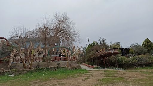 Yorum fotoğrafı 5