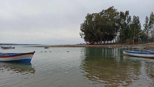 Yorum fotoğrafı 6