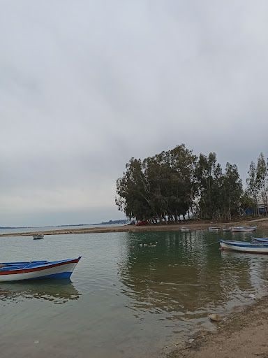 Yorum fotoğrafı 7