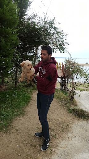 Yorum fotoğrafı 8