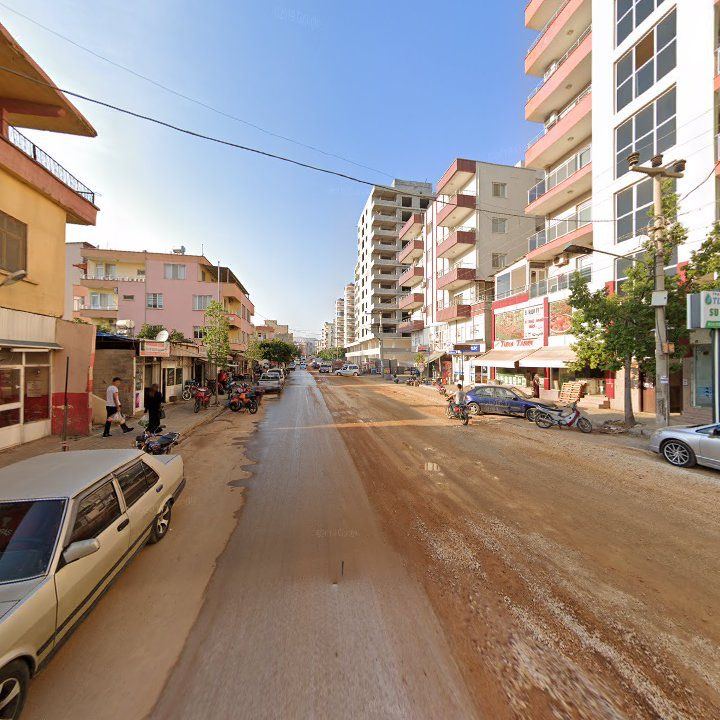 Fotoğraf 5