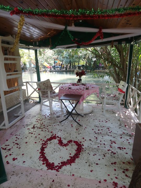 Gardenia Elvanlı