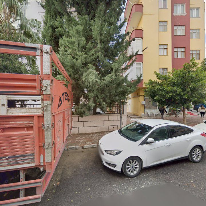 Fotoğraf 3
