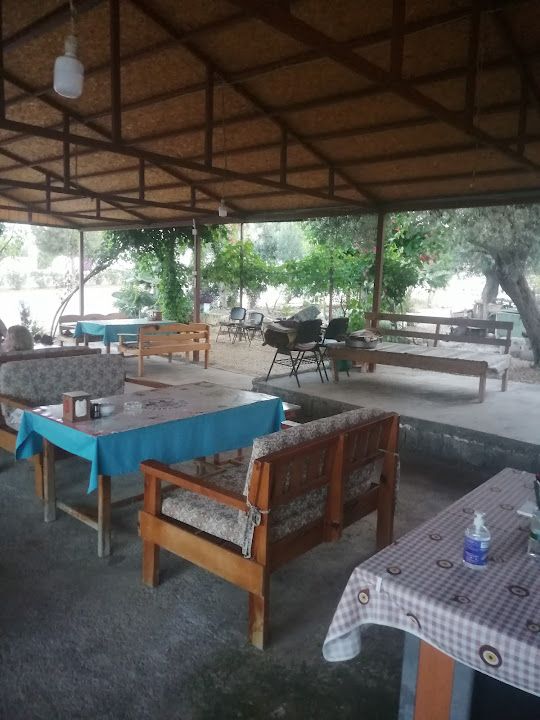 Sağlıkçının Yeri