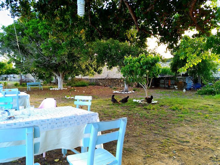 Yörük Balık Restoran