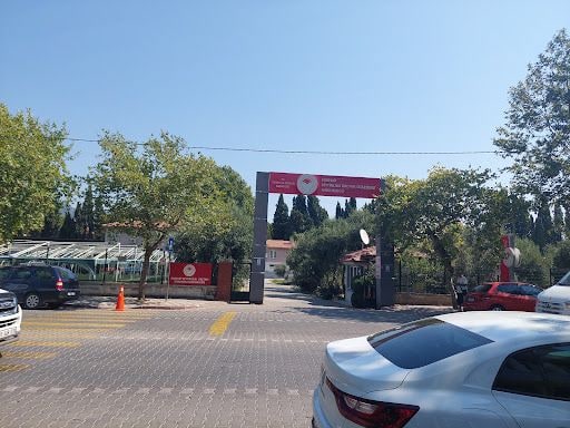 Fotoğraf 12