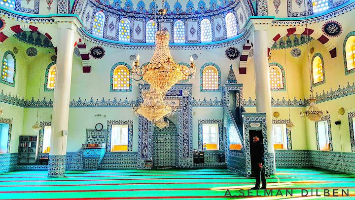 Fotoğraf 8